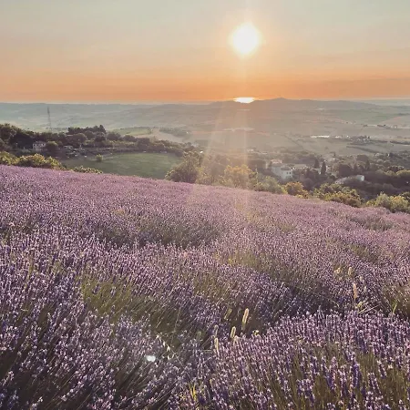 Frühstückspension L'infinito 3*