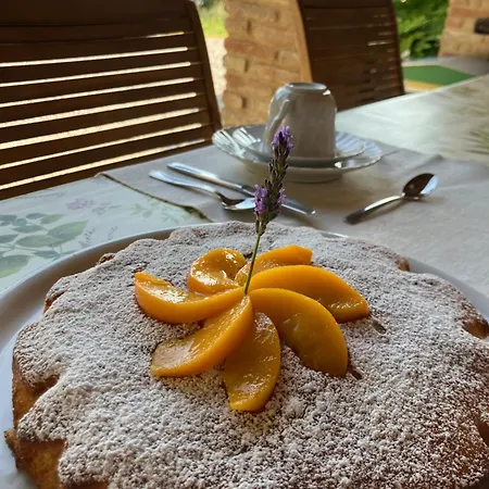 Bed & Breakfast L'infinito Mombaroccio