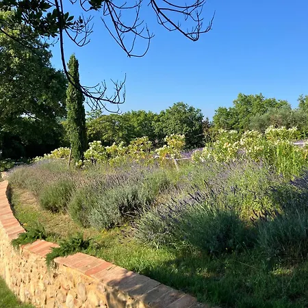L'infinito Bed & Breakfast Mombaroccio