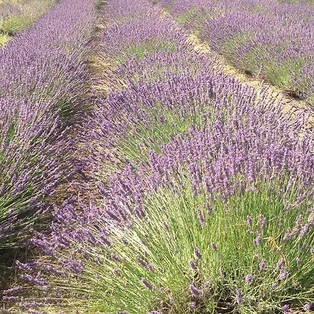 L'infinito Mombaroccio