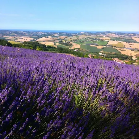 Bed & Breakfast L'infinito Mombaroccio