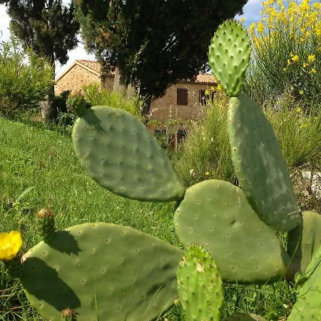 Bed & Breakfast L'infinito 3*